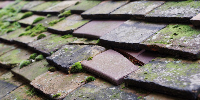 Leighton Bromswold roof repair costs